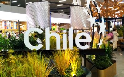 Liderar desde donde estás